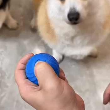 JUGUETE SALTARIN PARA MASCOTAS
